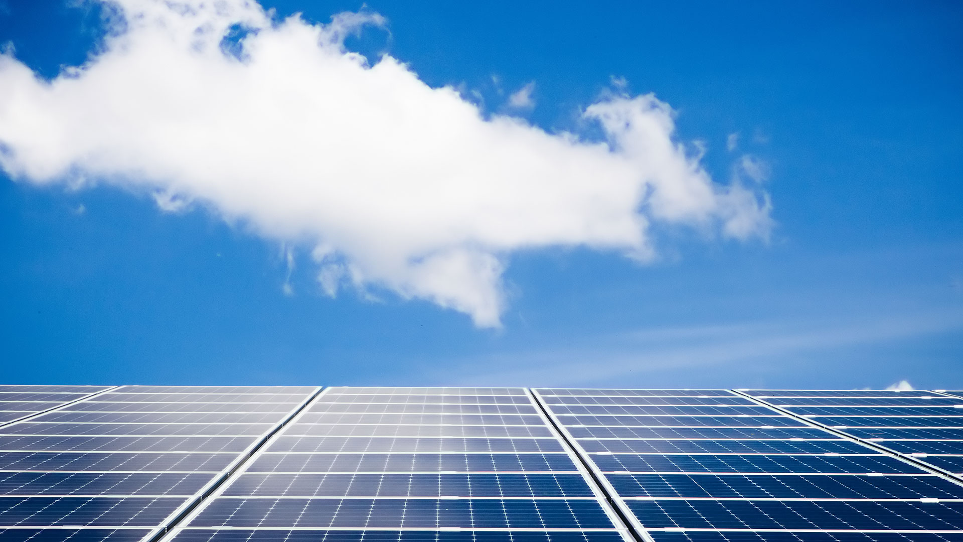 photovoltaïque liège